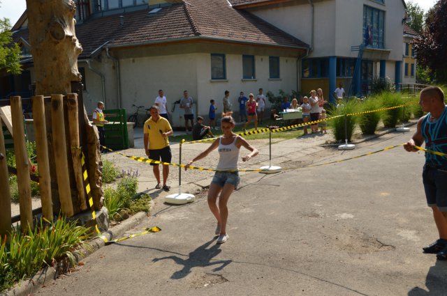 Falunap 2017